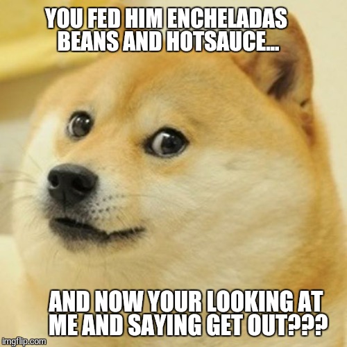 Blaming the Dog | YOU FED HIM ENCHELADAS BEANS AND HOTSAUCE... AND NOW YOUR LOOKING AT ME AND SAYING GET OUT??? | image tagged in memes,doge,dogs,fart,funny memes | made w/ Imgflip meme maker