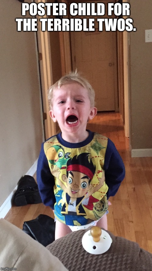 POSTER CHILD FOR THE TERRIBLE TWOS. | image tagged in terrible twos | made w/ Imgflip meme maker