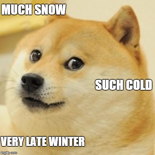 Doge Meme | MUCH SNOW SUCH COLD VERY LATE WINTER | image tagged in memes,doge | made w/ Imgflip meme maker