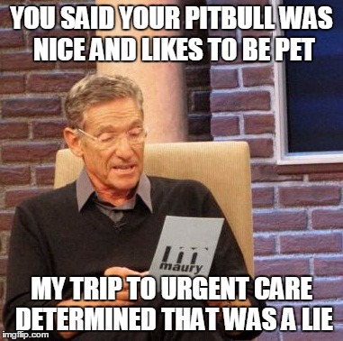 Maury Lie Detector | YOU SAID YOUR PITBULL WAS NICE AND LIKES TO BE PET MY TRIP TO URGENT CARE DETERMINED THAT WAS A LIE | image tagged in memes,maury lie detector,AdviceAnimals | made w/ Imgflip meme maker