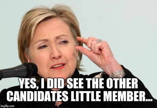 The Other Presidential Candidate... | YES, I DID SEE THE OTHER CANDIDATES LITTLE MEMBER... | image tagged in hillary clinton fingers,presidential race,president 2016,donald trump,hillary clinton | made w/ Imgflip meme maker