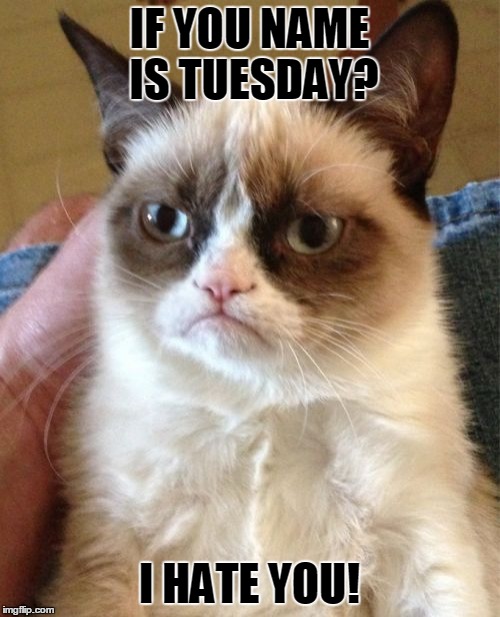 Grumpy Cat Meme | IF YOU NAME IS TUESDAY? I HATE YOU! | image tagged in memes,grumpy cat | made w/ Imgflip meme maker