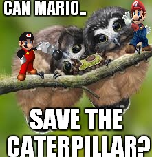 CAN MARIO.. SAVE THE CATERPILLAR? | made w/ Imgflip meme maker