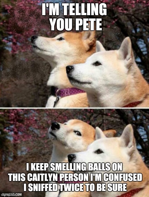 constipation dogs Memes - Imgflip