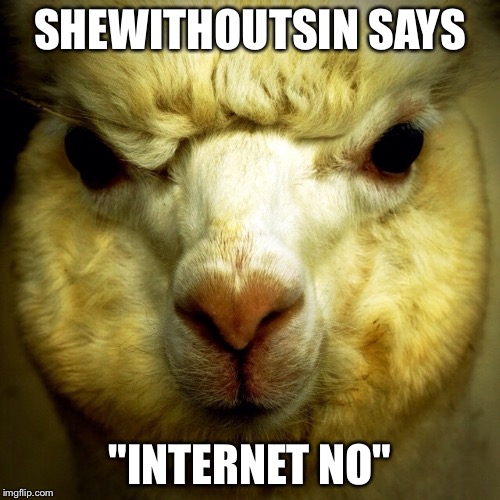 SHEWITHOUTSIN SAYS "INTERNET NO" | made w/ Imgflip meme maker