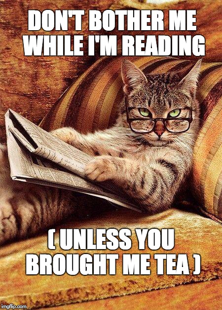 cat reading | DON'T BOTHER ME WHILE I'M READING ( UNLESS YOU BROUGHT ME TEA ) | image tagged in cat reading | made w/ Imgflip meme maker