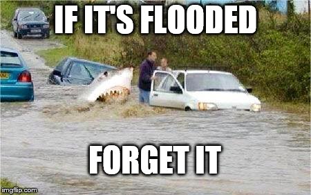IF IT'S FLOODED FORGET IT | image tagged in flooded | made w/ Imgflip meme maker