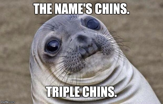 003 | THE NAME'S CHINS. TRIPLE CHINS. | image tagged in memes,awkward moment sealion | made w/ Imgflip meme maker