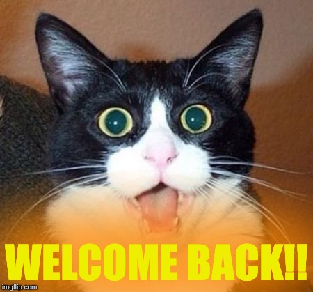 whoa cat | WELCOME BACK!! | image tagged in whoa cat | made w/ Imgflip meme maker