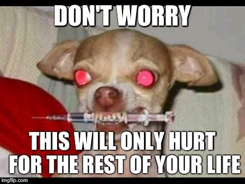 Peaceful chihuahua  | DON'T WORRY THIS WILL ONLY HURT FOR THE REST OF YOUR LIFE | image tagged in peaceful chihuahua | made w/ Imgflip meme maker