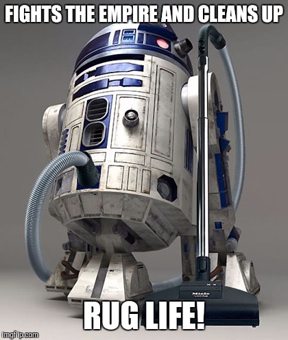 Rug Life! | FIGHTS THE EMPIRE AND CLEANS UP RUG LIFE! | image tagged in memes | made w/ Imgflip meme maker