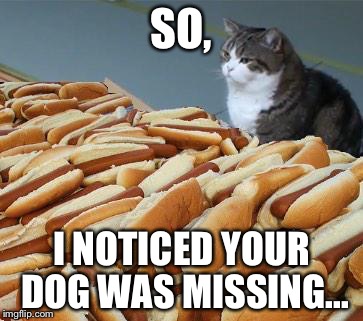 Too many hot dogs | SO, I NOTICED YOUR DOG WAS MISSING... | image tagged in too many hot dogs | made w/ Imgflip meme maker