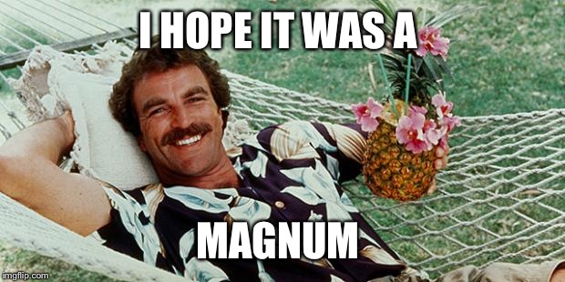 Magnum cheers! | I HOPE IT WAS A MAGNUM | image tagged in magnum cheers | made w/ Imgflip meme maker