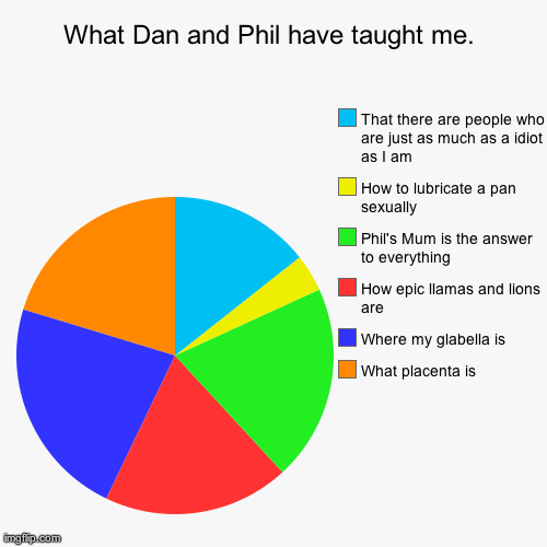 What Dan and Phil have taught me. What placenta is Where my glabella is How epic llamas and lions are Phil's Mum is the answer to everything | image tagged in funny,pie charts | made w/ Imgflip chart maker
