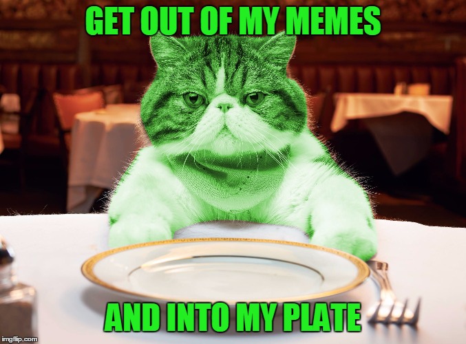 RayCat Hungry | GET OUT OF MY MEMES AND INTO MY PLATE | image tagged in raycat hungry | made w/ Imgflip meme maker