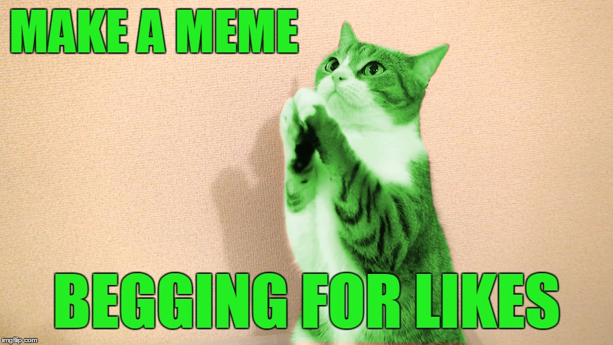 RayCat Pray | MAKE A MEME BEGGING FOR LIKES | image tagged in raycat pray | made w/ Imgflip meme maker