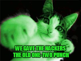 RayCat Fighting Hackers | WE GAVE THE HACKERS THE OLD ONE-TWO PUNCH | image tagged in raycat fighting hackers | made w/ Imgflip meme maker