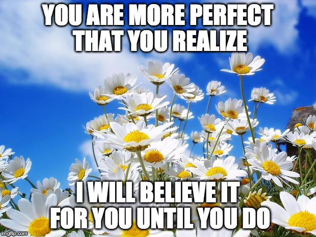 spring daisy flowers | YOU ARE MORE PERFECT THAT YOU REALIZE I WILL BELIEVE IT FOR YOU UNTIL YOU DO | image tagged in spring daisy flowers | made w/ Imgflip meme maker