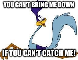 roadrunner | YOU CAN'T BRING ME DOWN IF YOU CAN'T CATCH ME! | image tagged in roadrunner | made w/ Imgflip meme maker