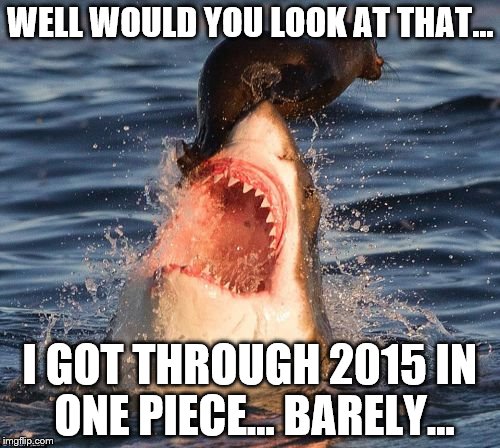 Travelonshark | WELL WOULD YOU LOOK AT THAT... I GOT THROUGH 2015 IN ONE PIECE... BARELY... | image tagged in memes,travelonshark | made w/ Imgflip meme maker