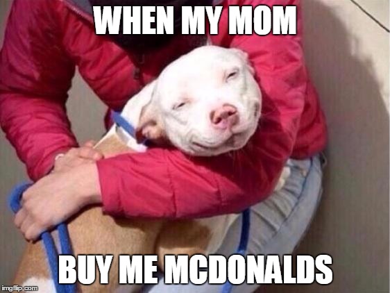 Smug Pitbull | WHEN MY MOM BUY ME MCDONALDS | image tagged in smug pitbull | made w/ Imgflip meme maker