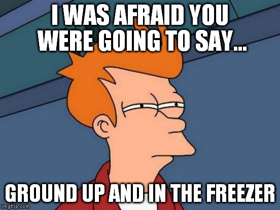 Futurama Fry Meme | I WAS AFRAID YOU WERE GOING TO SAY... GROUND UP AND IN THE FREEZER | image tagged in memes,futurama fry | made w/ Imgflip meme maker