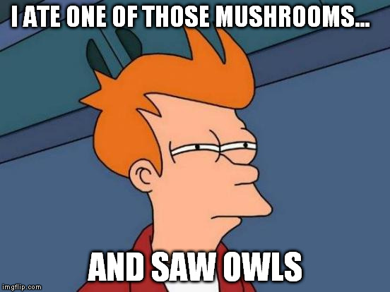 Futurama Fry Meme | I ATE ONE OF THOSE MUSHROOMS... AND SAW OWLS | image tagged in memes,futurama fry | made w/ Imgflip meme maker
