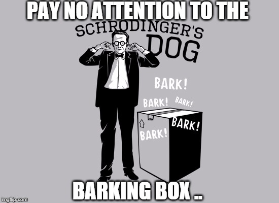 PAY NO ATTENTION TO THE BARKING BOX .. | image tagged in schrodinger's dog | made w/ Imgflip meme maker