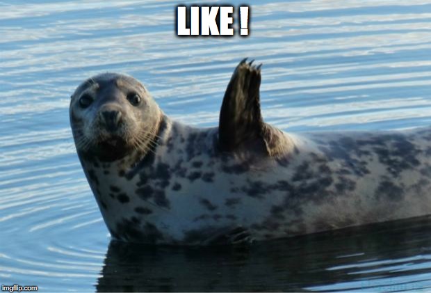 Seal | LIKE ! | image tagged in seal | made w/ Imgflip meme maker