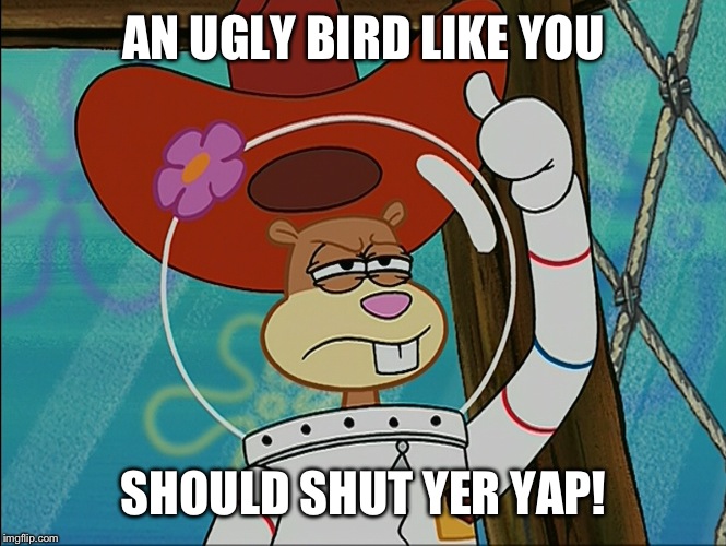 Shut Yer Yap! | AN UGLY BIRD LIKE YOU SHOULD SHUT YER YAP! | image tagged in sandy cheeks,memes,spongebob squarepants,sandy cheeks cowboy hat,texas girl,insult | made w/ Imgflip meme maker