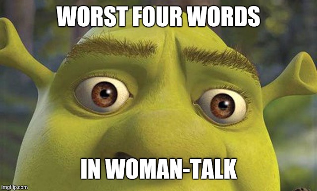 Shrek2 | WORST FOUR WORDS IN WOMAN-TALK | image tagged in shrek2 | made w/ Imgflip meme maker