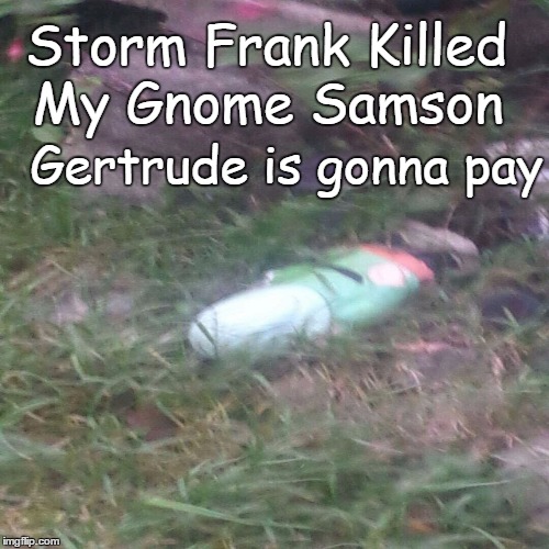 Storm Frank | Storm Frank Killed My Gnome Samson Gertrude is gonna pay | image tagged in storm,hurricane,frank,angry gnome | made w/ Imgflip meme maker