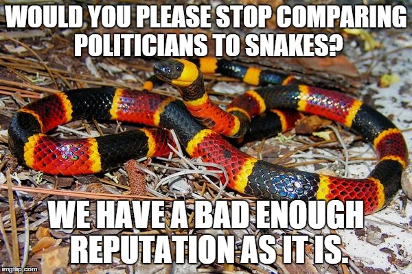 WOULD YOU PLEASE STOP COMPARING POLITICIANS TO SNAKES? WE HAVE A BAD ENOUGH REPUTATION AS IT IS. | image tagged in snake,politician | made w/ Imgflip meme maker