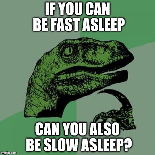 Is slow asleep simply being awake? | IF YOU CAN BE FAST ASLEEP CAN YOU ALSO BE SLOW ASLEEP? | image tagged in memes,philosoraptor,sleep,sleeping | made w/ Imgflip meme maker