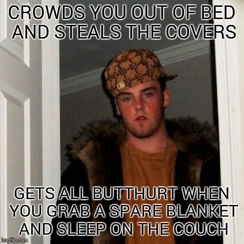 Scumbag Steve | CROWDS YOU OUT OF BED AND STEALS THE COVERS GETS ALL BUTTHURT WHEN YOU GRAB A SPARE BLANKET AND SLEEP ON THE COUCH | image tagged in memes,scumbag steve | made w/ Imgflip meme maker