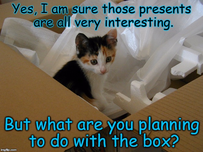 Cat Forum The Visitors Respond Adventures in Cheeseland