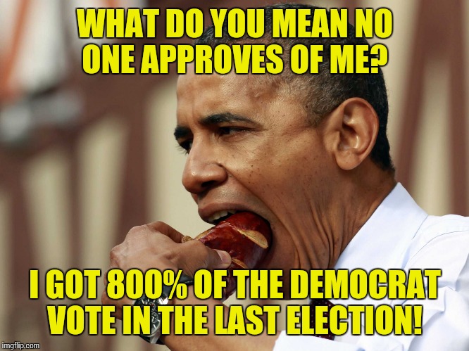 Obama Hotdog | WHAT DO YOU MEAN NO ONE APPROVES OF ME? I GOT 800% OF THE DEMOCRAT VOTE IN THE LAST ELECTION! | image tagged in obama hotdog | made w/ Imgflip meme maker