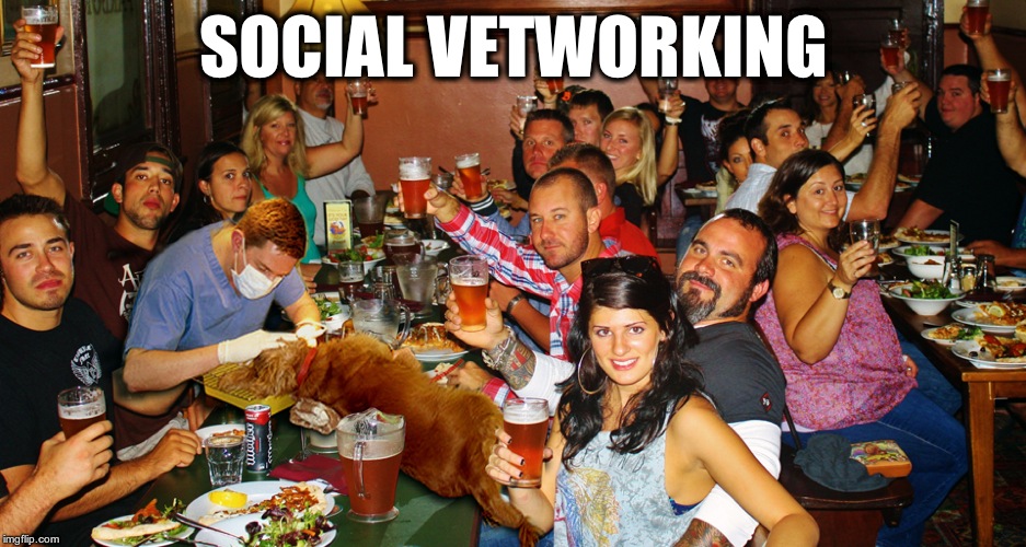 SOCIAL VETWORKING | image tagged in socialvetworking | made w/ Imgflip meme maker