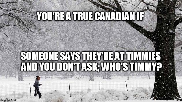 a true canadian | YOU'RE A TRUE CANADIAN IF SOMEONE SAYS THEY'RE AT TIMMIES AND YOU DON'T ASK; WHO'S TIMMY? | image tagged in canada | made w/ Imgflip meme maker