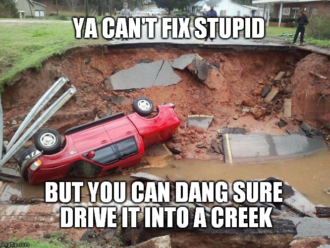 Can't fix Stupid | YA CAN'T FIX STUPID BUT YOU CAN DANG SURE DRIVE IT INTO A CREEK | image tagged in special kind of stupid | made w/ Imgflip meme maker