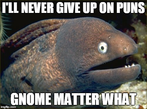 I'LL NEVER GIVE UP ON PUNS GNOME MATTER WHAT | made w/ Imgflip meme maker