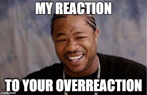 Yo Dawg Heard You | MY REACTION TO YOUR OVERREACTION | image tagged in memes,yo dawg heard you | made w/ Imgflip meme maker