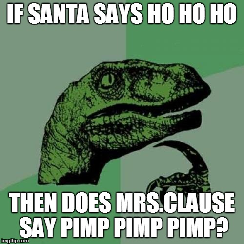Philosoraptor | IF SANTA SAYS HO HO HO THEN DOES MRS.CLAUSE SAY PIMP PIMP PIMP? | image tagged in memes,philosoraptor | made w/ Imgflip meme maker