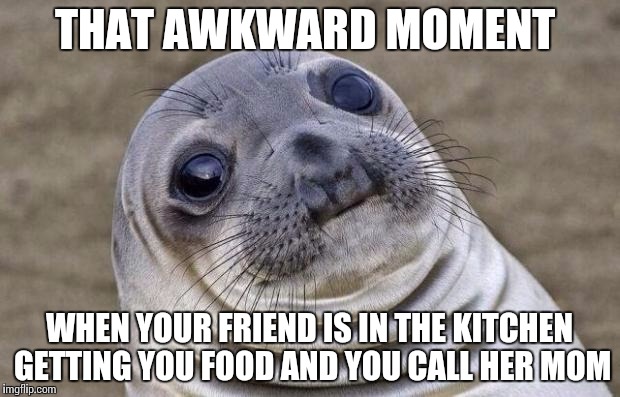 Awkward Moment Sealion | THAT AWKWARD MOMENT WHEN YOUR FRIEND IS IN THE KITCHEN GETTING YOU FOOD AND YOU CALL HER MOM | image tagged in memes,awkward moment sealion | made w/ Imgflip meme maker