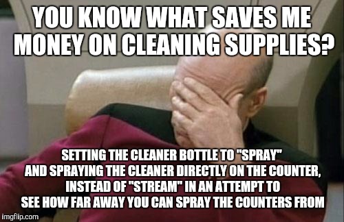 Seriously, are we 10-year-olds or are we a married couple? | YOU KNOW WHAT SAVES ME MONEY ON CLEANING SUPPLIES? SETTING THE CLEANER BOTTLE TO "SPRAY" AND SPRAYING THE CLEANER DIRECTLY ON THE COUNTER, I | image tagged in memes,captain picard facepalm | made w/ Imgflip meme maker