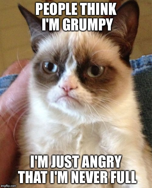Grumpy Cat Meme | PEOPLE THINK I'M GRUMPY I'M JUST ANGRY THAT I'M NEVER FULL | image tagged in memes,grumpy cat | made w/ Imgflip meme maker