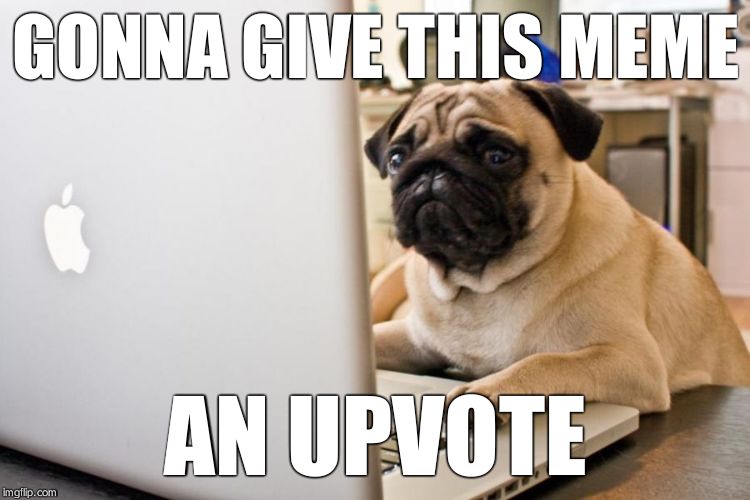 Computer pug | GONNA GIVE THIS MEME AN UPVOTE | image tagged in computer pug | made w/ Imgflip meme maker