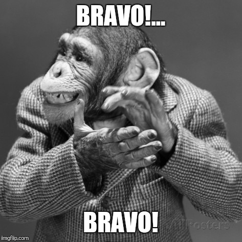 BRAVO!... BRAVO! | made w/ Imgflip meme maker