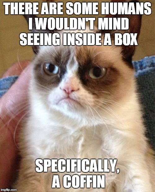 Grumpy Cat Meme | THERE ARE SOME HUMANS I WOULDN'T MIND SEEING INSIDE A BOX SPECIFICALLY, A COFFIN | image tagged in memes,grumpy cat | made w/ Imgflip meme maker