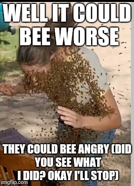 bees | WELL IT COULD BEE WORSE THEY COULD BEE ANGRY(DID YOU SEE WHAT I DID? OKAY I'LL STOP) | image tagged in first world problems | made w/ Imgflip meme maker